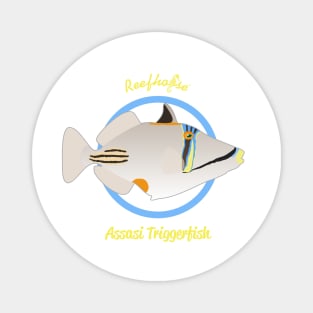 Assasi Triggerfish Magnet